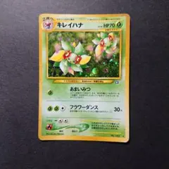 2026年最新】キレイハナ 旧の人気アイテム - メルカリ