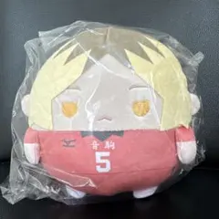 ハイキュー‼︎ くじメイト　ぬいくじ　孤爪研磨