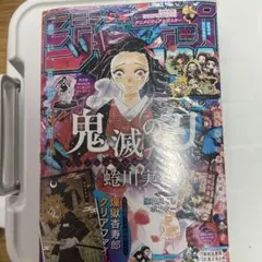 少年ジャンプギガ 鬼滅の刃×蜷川実花