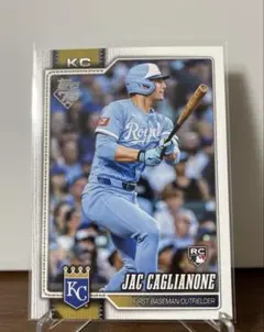 Item thumbnail for item bb003586-1d36-49fb-9fcb-5b3f17bff297