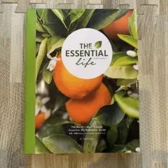 Item thumbnail for item e442ef46-570a-480b-a9b8-735d574d275b