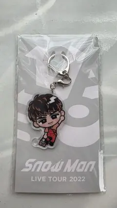 ​【新品未開封】向井康二 すのチルぶら下がりシリーズ アクキー スノラボ