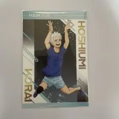 Item thumbnail for item 538f3fe9-aa34-4abd-842b-9d6e1c1f656f