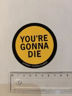 SUPREME HYSTERIC GLAMOUR ステッカー1