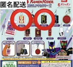 仮面ライダー アクセサリー 2個セット　ガチャガチャ　目印チャーム