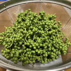 2026年最新】花山椒 100gの人気アイテム - メルカリ