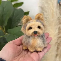 2026年最新】ヨークシャテリアの人気アイテム - メルカリ