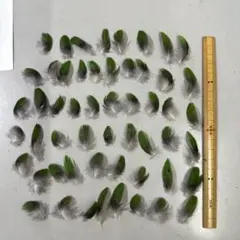 Item thumbnail for item 049692f2-8d92-4c28-8c23-b57c780b26a5