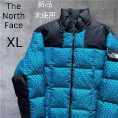 ノースフェイスNorthfaceダウンジャケット700メンズ XL LHOTSE