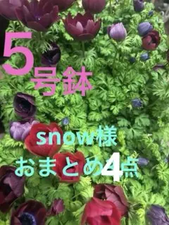 snow様 リクエスト 3点 まとめ商品