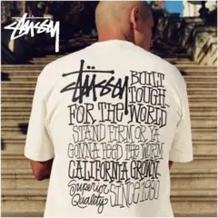 【STUSSY】ショーンフォント　バックロゴTシャツ