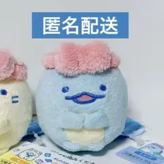 【お顔厳選新品】すみっコぐらし　ナイトルーティン　ねむすやぬいぐるみ　とかげのサムネイル