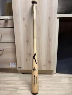 2025年最新】ミズノプロ 木製バットの人気アイテム - メルカリ