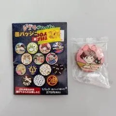 ジブリがいっぱい　缶バッジコレクション　魔女の宅急便　キキ　ジジ　新品
