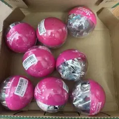 東京ディズニーランド パルパルーザ ミニー カプセルトイ 全4種 ポーチ2セット