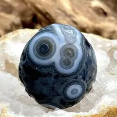 2026年最新】ゴビアゲートの人気アイテム - メルカリ