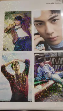 BTS JIN ステッカー１０枚セット