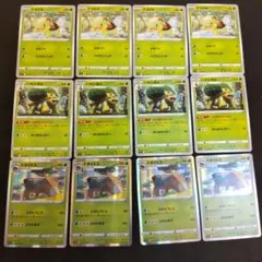 ナエトル　ハヤシガメ ドダイトス 進化ライン　各4枚