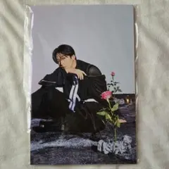 2025年最新】澤本 パネルの人気アイテム - メルカリ