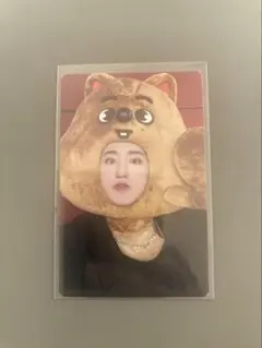 Stray Kids MAXIDENT タレントカード