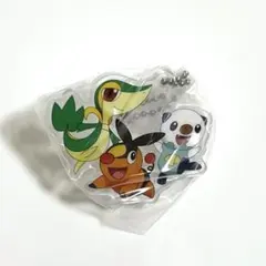 ポケモン　旅立ちの３匹　アクリルスイング