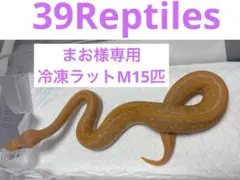 まお様専用ページ