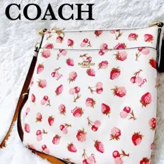 【国内未発売】コーチ COACH クロスボディ ショルダー フルーツ 未使用級