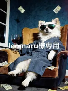 leomaru様専用