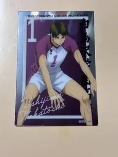 ハイキュー!! 烏野高校 メタルカード