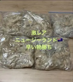 Item thumbnail for item 8f132e8c-ca58-4aa0-88e5-c451ac8b5ca1