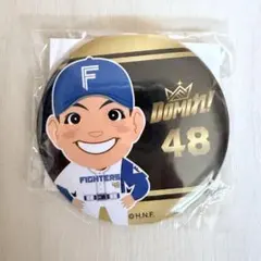 宮西尚生 ファイターズガチャ 缶バッジ - メルカリ