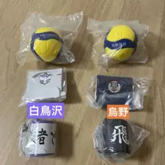 ハイキュー×MIKASA コラボBOX付きボール＆コインシリンダー 烏野　白鳥沢