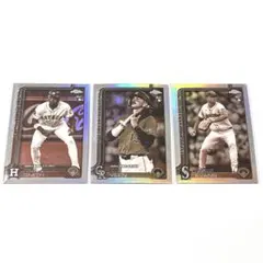 Item thumbnail for item c4706bf5-5d26-4c63-ae43-66cb1704e54a