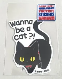 B-SIDE LABEL (EN)WANNA BE A CAT? 黒猫