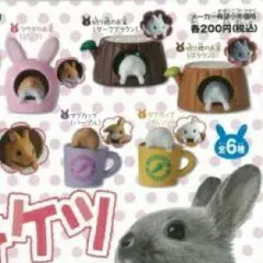ゆま プロフィール必ず読んでください！様専用 - メルカリ