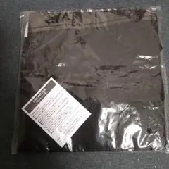 Item thumbnail for item 71c48286-50cc-4c51-88dd-093a2caf36c6