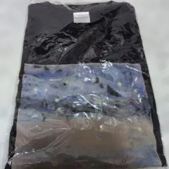 バナナマン the melancholic Tシャツ Lサイズ - メルカリ