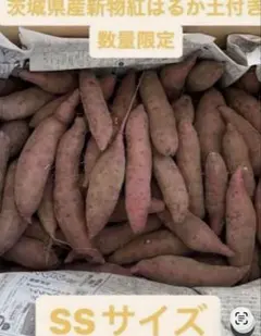 ちゅっ太郎さん専用新物士付きさつまいも紅はるか10kg