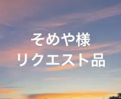 そめや様 リクエスト 3点 まとめ商品