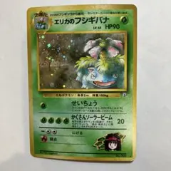 旧裏　美品　エリカのフシギバナ