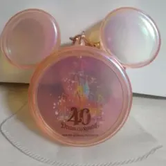 ディズニーランド　スーベニアケース　DISNEY　MICKEY　40周年