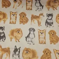 Item thumbnail for item acdadffa-d00d-43a5-ac79-2408811b3f7b