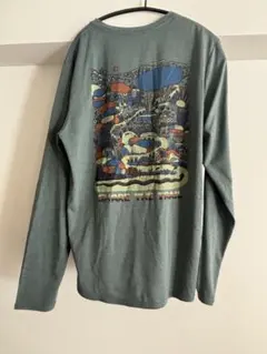 Patagonia Capilene Cool Daily 45160 ロンT