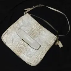 COACH パイソン柄2wayバッグ