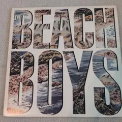 The Beach Boys レコード LP 見本盤
