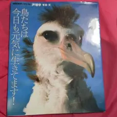 鳥たちは今日も元気に生きてます!　戸塚学　鳥 写真集