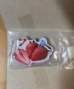 パペットスンスン キャラマグネッツ ６・いちご マグネット