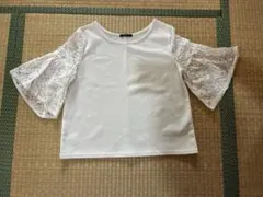 レーススリーブ Tシャツ INGNI