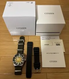 シチズン　プロマスター　NY0120-01X 自動巻き　海外限定　NATOベルト シチズン プロマスター NY0120-01X 自動巻き 海外限定 NATOベルト