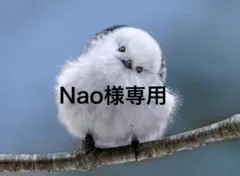 Nao様専用 #204